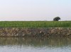20050126_FerryBoat_04
